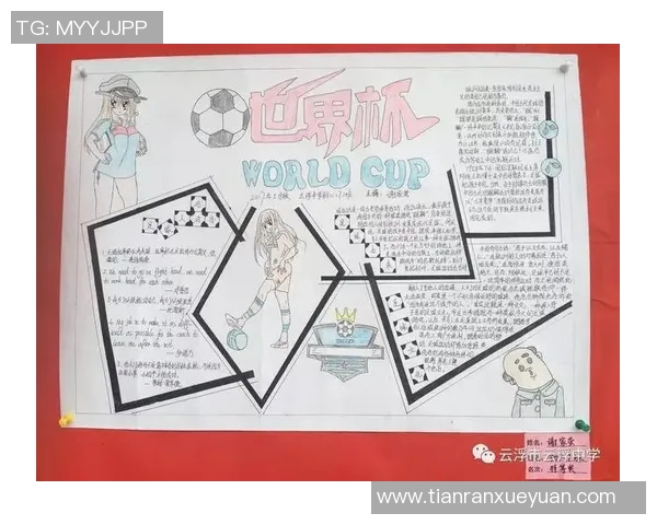 足球单价40元的魅力分析与市场趋势探讨