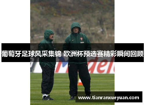葡萄牙足球风采集锦 欧洲杯预选赛精彩瞬间回顾