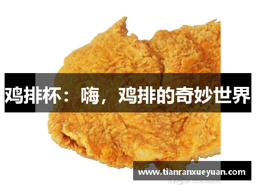 鸡排杯：嗨，鸡排的奇妙世界