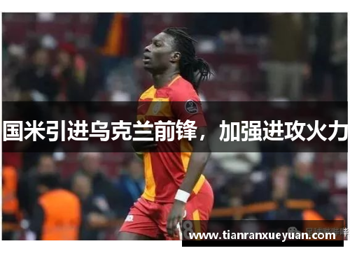 国米引进乌克兰前锋，加强进攻火力