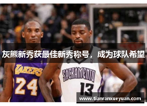 灰熊新秀获最佳新秀称号，成为球队希望