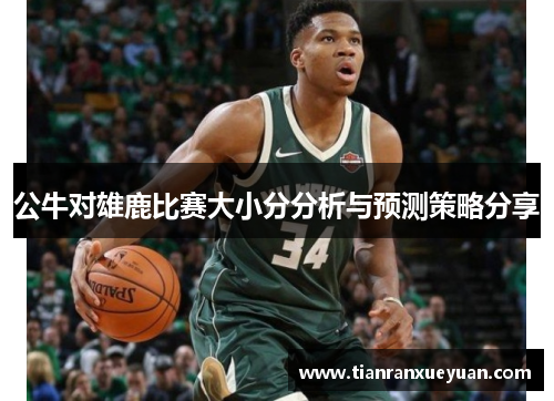 公牛对雄鹿比赛大小分分析与预测策略分享