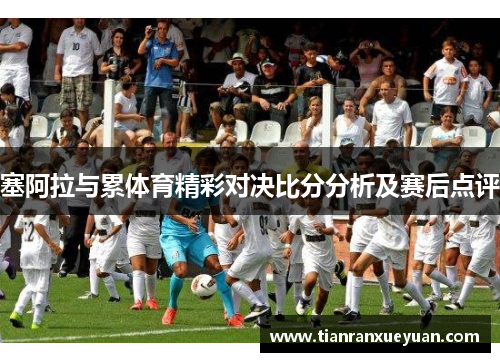 塞阿拉与累体育精彩对决比分分析及赛后点评
