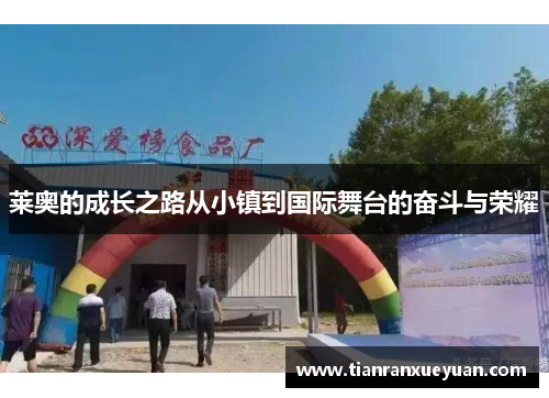 莱奥的成长之路从小镇到国际舞台的奋斗与荣耀