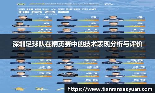 深圳足球队在精英赛中的技术表现分析与评价