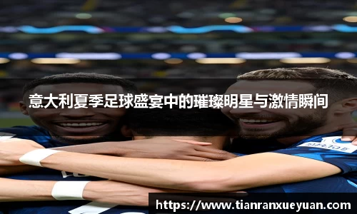 意大利夏季足球盛宴中的璀璨明星与激情瞬间