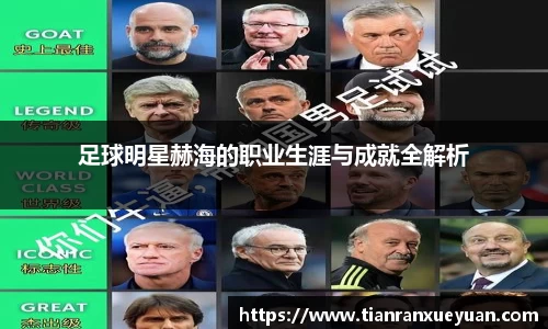 足球明星赫海的职业生涯与成就全解析