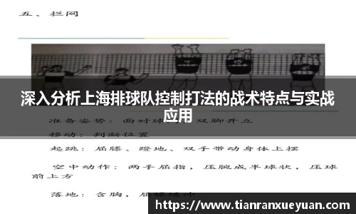 深入分析上海排球队控制打法的战术特点与实战应用