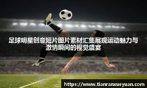 VSport胜利因您更精彩