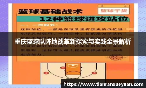重庆篮球队阵地战革新探索与实践全景解析
